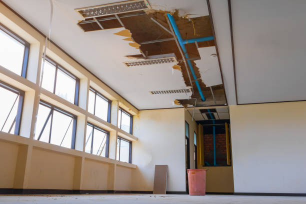 Best Flooded house restoration  in Troy, NC