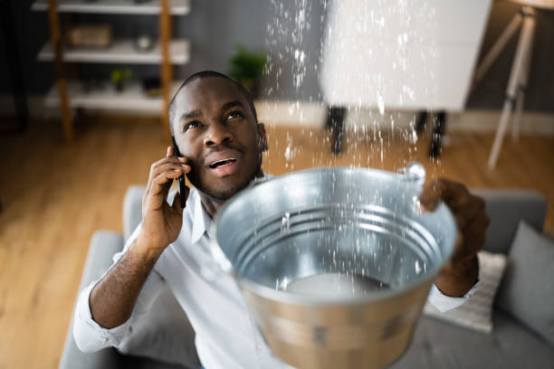 Best Water damage restoration company  in Troy, NC
