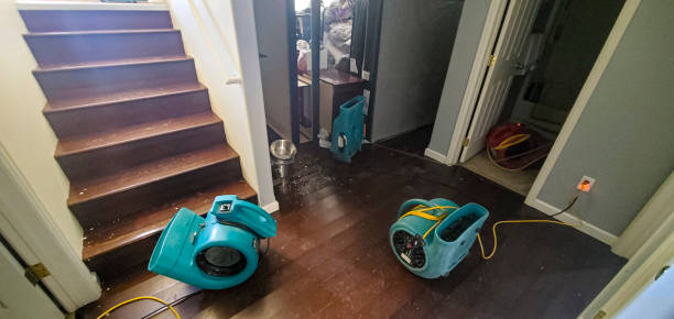 Best Water damage restoration near me  in Troy, NC