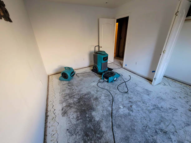 Best Water damage restoration insurance claims  in Troy, NC