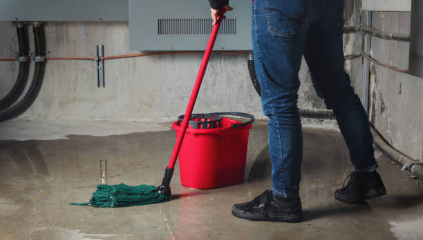 Best Flood damage cleanup  in Troy, NC