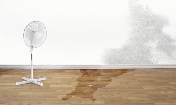 Best Water damage restoration near me  in Troy, NC