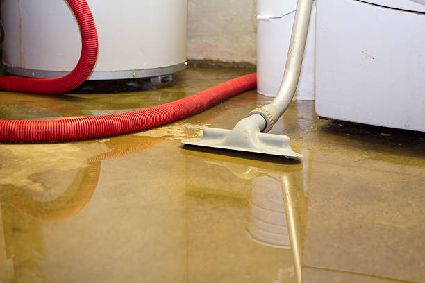 Best Fire Damage Restoration  in Troy, NC