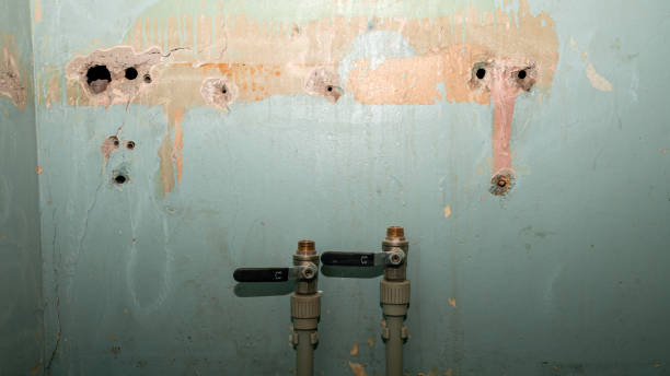 Best Emergency water extraction  in Troy, NC